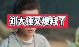 刘大锤最新爆料图片大全,图片大全揭秘幕后真相